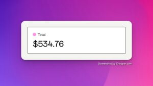 „SaaS“, kurią kuriu viešai, uždirbo 534,76 USD pajamų per pirmas