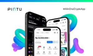 „Pintu“ praneša apie 150 proc.