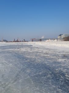 šiuo metu situacija stabili ir nuolat sekama